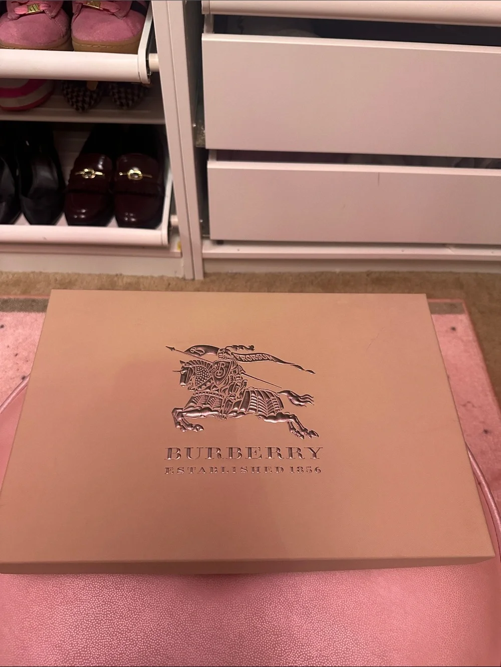 Burberry Tan and Black Check Wool Scarf with red interior
